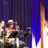 HarpiStick trio - Concert, Evènementiel, Animation - Image 3