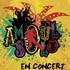 AMOUL SOLO - Groupe festif et créatif
