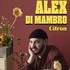Alex Di Mambro - Citron ( Tournée )