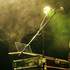 Collapsus au Circus Rock 2015