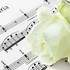 Soizic AUDRIN Cantatrice - Chants animation Messe Mariage - Image 2