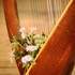 SyliaTwolands - L'ave Maria à la harpe pour votre mariage