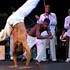 MIX'N WOR - SPECTACLE ITINERANT - BRAZIL TOUR - ILE DE FRANCE - Image 8