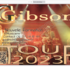 TEASER du groupe GG Gibson Band et CD "IN CAGE" disponible – photo 2