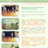LINKING DANCE - ATELIERS ZEBRES : GESTION EMOTIONS / EXPRESSION CORPORELLE