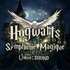 "Hogwarts Magic Symphony"