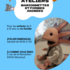 Cie L'Aspirale - Amalia Domergue - Ateliers  Marionnettes et formes animées