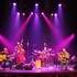 Concert pédagogique MYSTERETRIO QUARTET