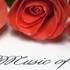 Soizic AUDRIN Cantatrice - Chants animation Messe Mariage