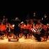 Union Musicale de Saint-Chamond - Recherche Musiciens