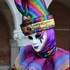 Veneziarte - Les costumés de Toulouse comme à Venise  - Image 3