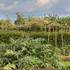 Les jardins de Château de la Borie - Image 4
