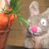 Drôle de lapin