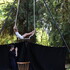 le Petit Perchoir - Eveil à la danse, éveil corporel 4 - 6ans - Image 2