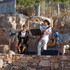 NOMADE SONG - Musique et chants celtiques, pop, folk, chansons françaises - Image 12