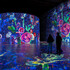 Matisse, La symphonie des couleurs – photo 5