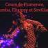 Flamenco, Estrellas del Sur - Cours de Flamenco, rumba, sevillanes et Fitgipsy 
