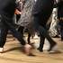Quintessence, l'Essence de la Danse - Commençons l'année en dansant !