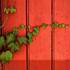 Photo Lavin - Atelier photo