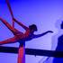 Compagnie Céleste - Prestations aériennes, danse, feu, LED, échasses