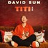 "David Sun - Titi (Tournée)"
