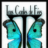 Sortie de Tous contes de fées Tome 3 – photo 3