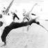 Compagnie Puls'Art - Cours de Danse Modern-Jazz Contemporain + Danse Organique - Image 3