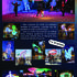 Quality Street Band  - Compagnie multispectacles pour la rue et la scène - Image 9