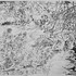 Nature sensible- Exposition de peintures, dessins, aquarelle - Image 3