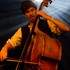 Kia Ora - Jazz manouche - Image 4