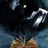 Rima SALLOUM  - Graphiste/Illustratrice - Image 7