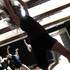 Compagnie Puls'Art - Cours de Danse Modern-Jazz Contemporain + Danse Organique - Image 4