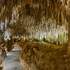 Grotte de Domme (Grotte de la Halle)