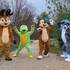 Cie Dreamlighters - Les mascottes qui font des câlins