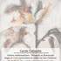 Atelier d'art de Carole Collaudin - Atelier artistique Castillon et chez l'habitant - Image 3