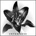 Ynverness recherche des lieux de concerts - Image 6