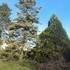 Printemps en Charente ,stage de piano, 3 jours intensifs  - Image 2