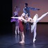 "The Dancer(s) - Compagnie François Maudit"