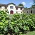 Musée du Vin et de la Vigne Chai de Lardimalie