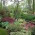 Jardin Arboretum d'Ilex