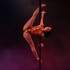 Compagnie Céleste - Prestations aériennes, danse, feu, LED, échasses - Image 4
