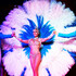 Spectacle Cabaret  - Music Hall Avenue de Paris - Image 2