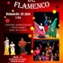 Spectacle flamenco