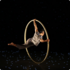 La Quadrature du cercle·Compagnie Solfas - Cirque
