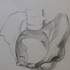 Atelier Rosenbach - Dessinez le corps humain - Image 2