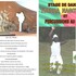 stage de danse au benin