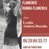 Lynda Andres-Dorado - Professeur de Flamenco et sévillanes