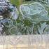 Stage CREATION SUR VERRE  - Image 5