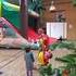 ANDREAS CIRCUS ANIMATIONS - clown pascalino artiste circassien - Image 7