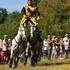 Arion Horse Show - Tournois de Chevalerie / Médieval - Renaissance - Image 2